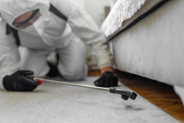 Professional Cockroach Control technician working in Poland, OH