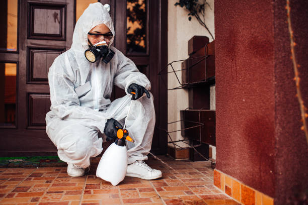 Reliable Cockroach Control contractor in Poland, OH by Nex Pest Control